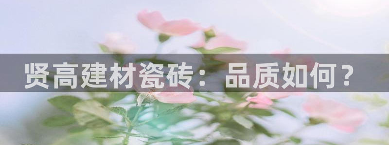 杏鑫平台代理怎么做的