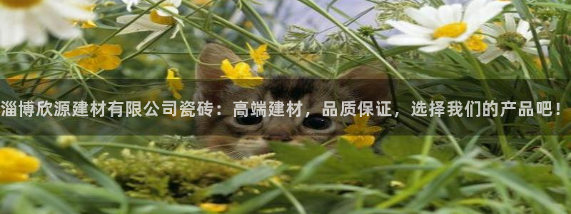 杏鑫娱乐靠谱吗